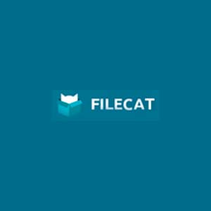 Conta Premium filecat filecat logo